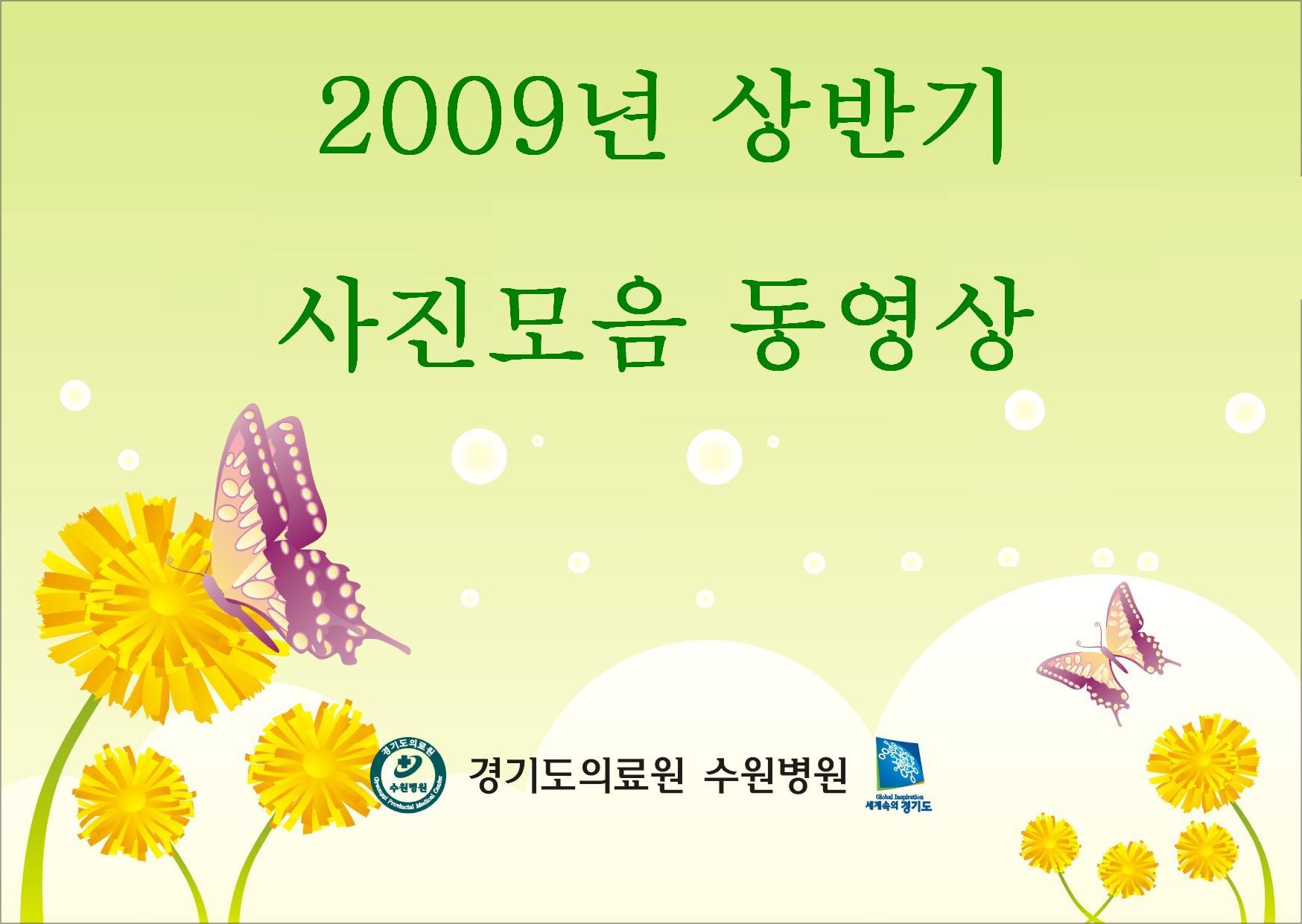 2009년 상반기 사진 동영상